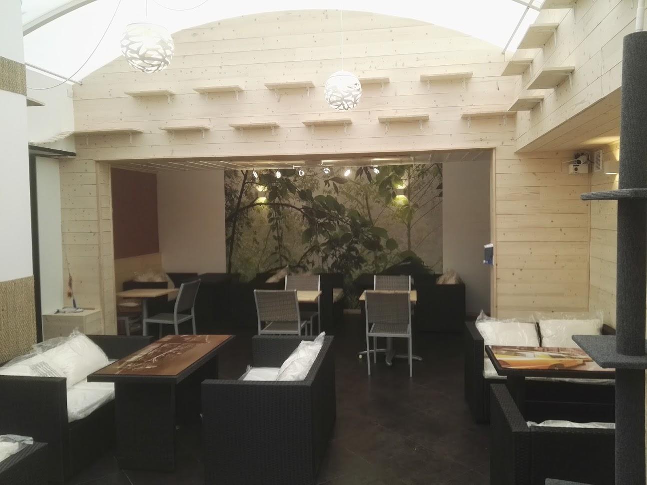 Photo de Féline Idée - Restaurant - Bar à Chats