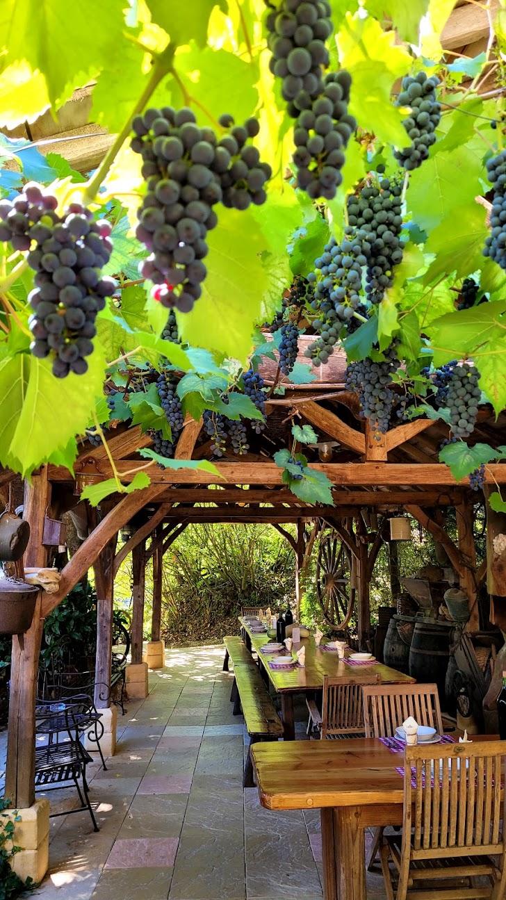 Photo de Auberge de Layotte
