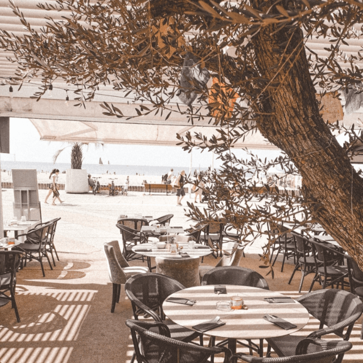 Photo de Restaurant Le Sud - La Grande Motte