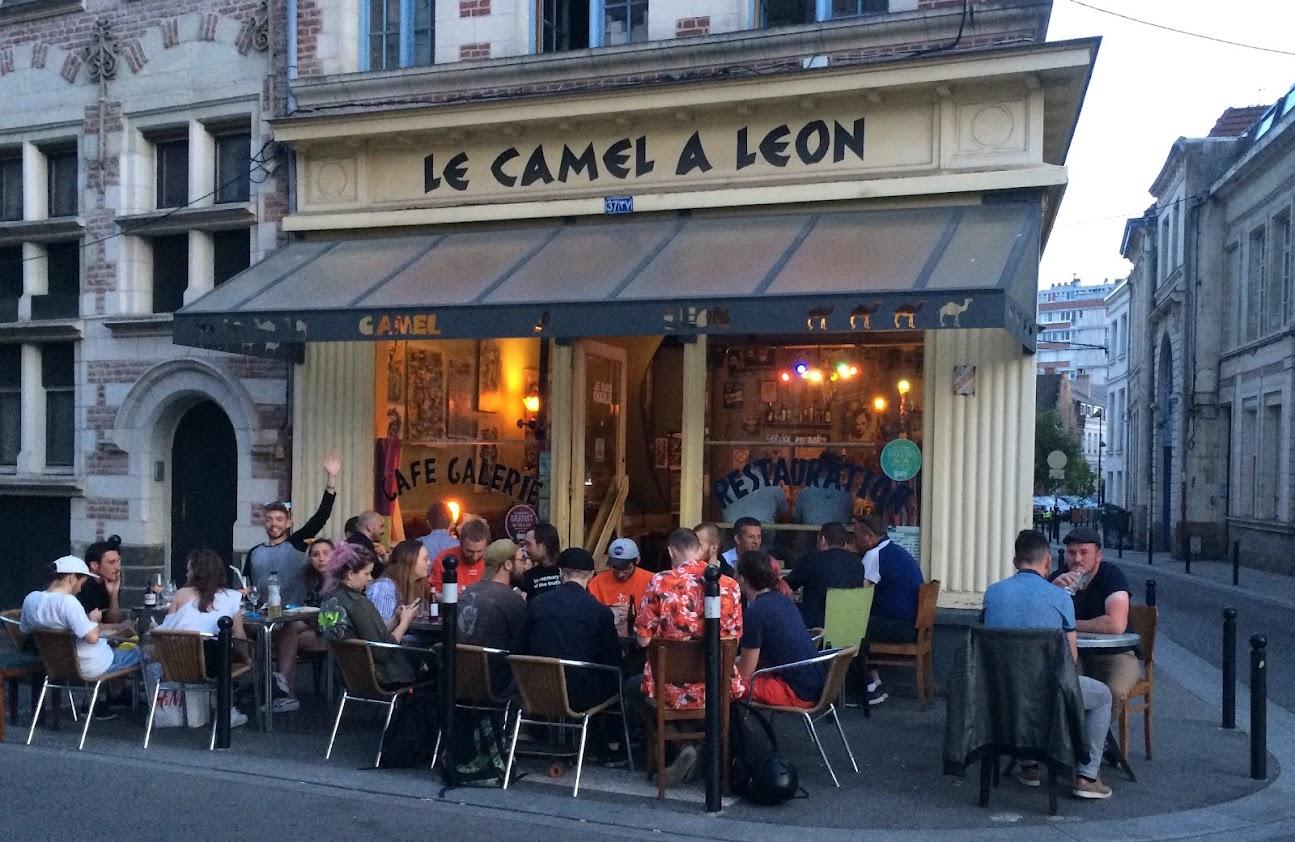 Photo de Le camel a leon