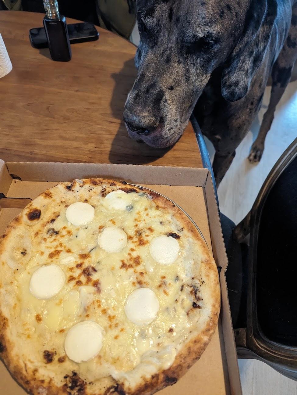 Photo de Just Queen - Distributeur de pizzas