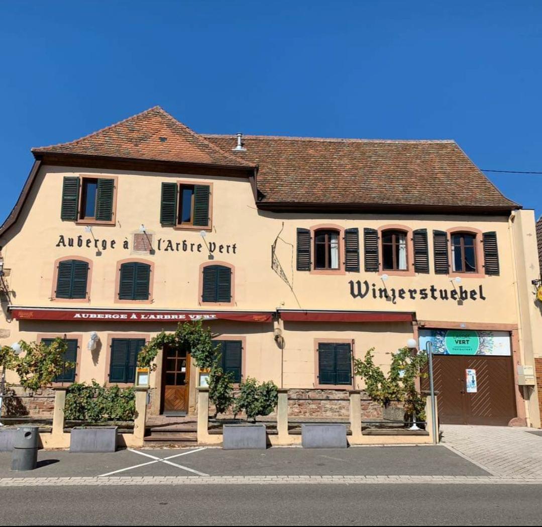 Photo de Restaurant L'Arbre Vert Marlenheim