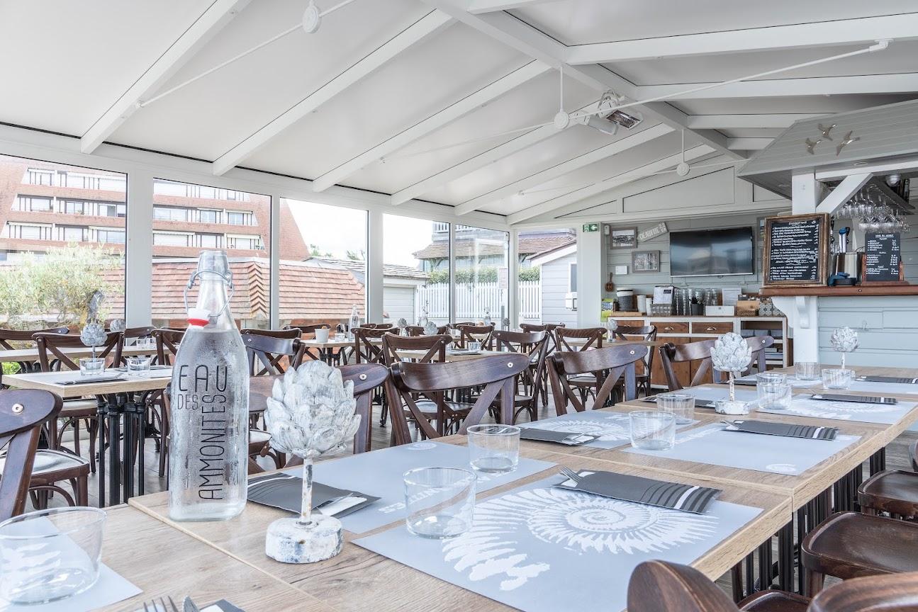 Photo de La Terrasse des Ammonites
