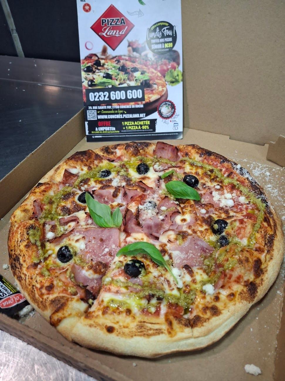 Photo de Pizzaland conches