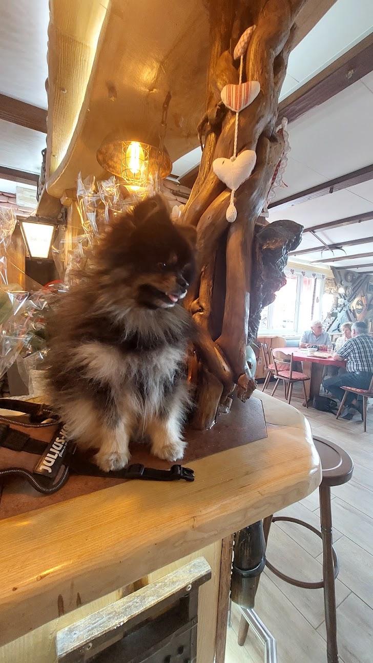 Photo du restaurant Sci la Bergerie