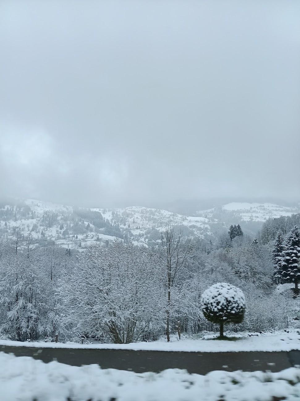 Photo de Auberge Du Dahu