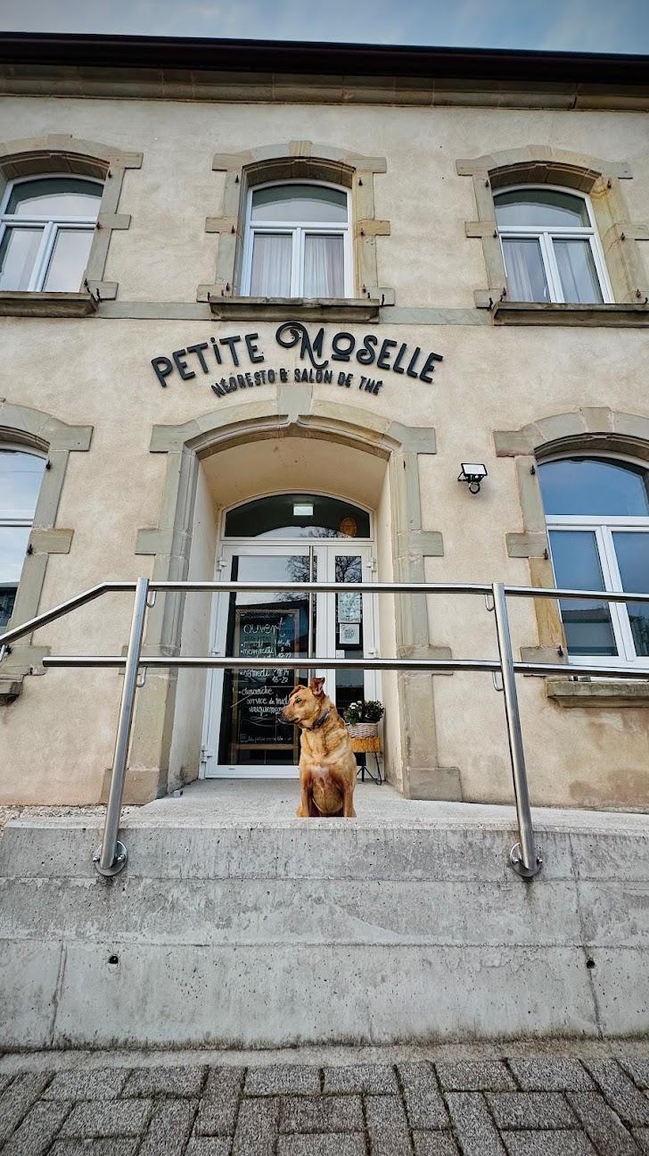 Photo de La Petite Moselle
