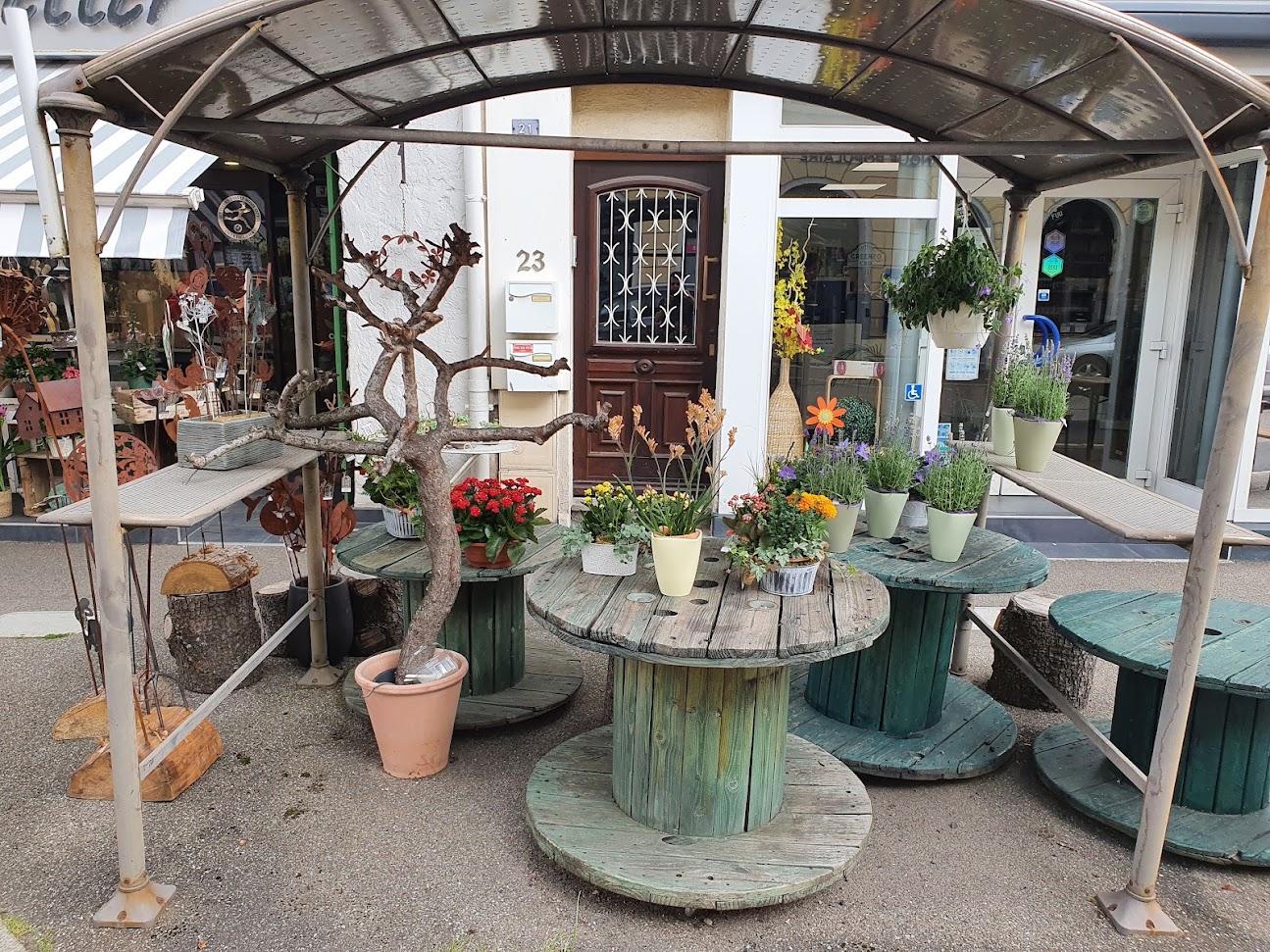 Photo de Restaurant Demi-Lune
