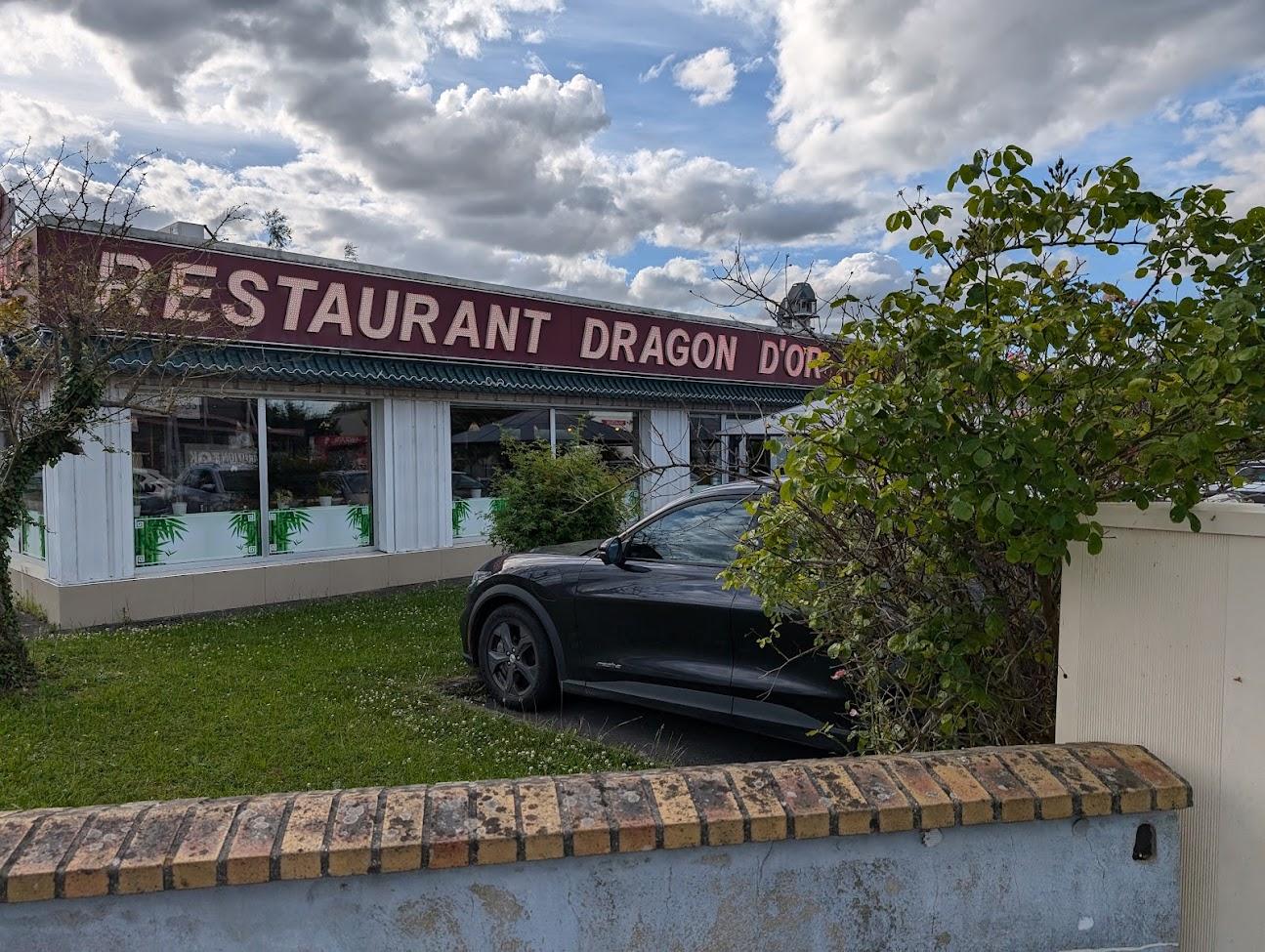 Photo de Dragon d'Or