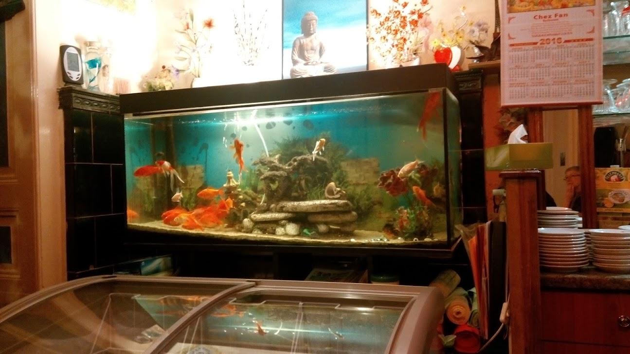 Photo de Restaurant Chez fan