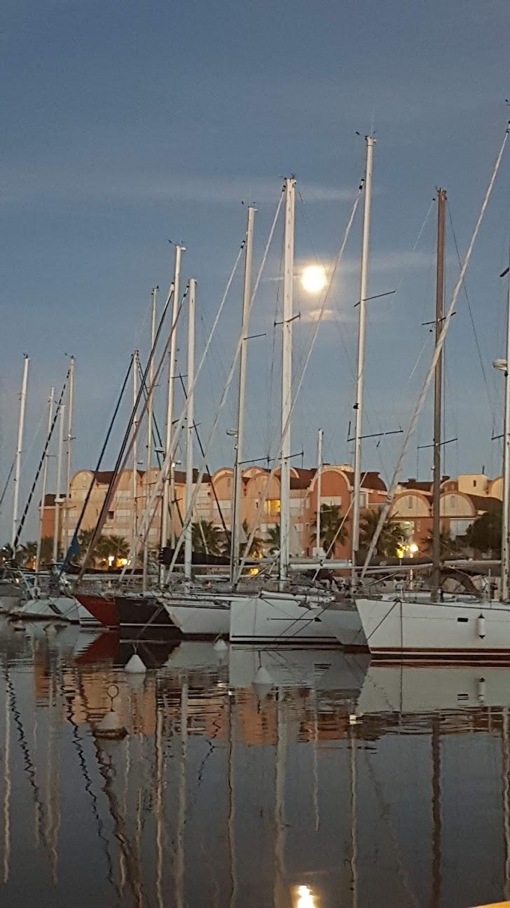 Photo de Les Terrasses du Port