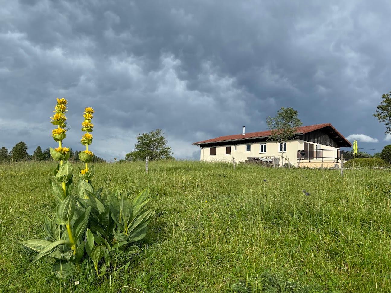 Photo de Brasserie Milvus
